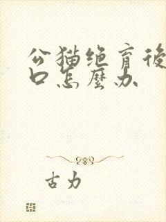 公猫绝育后舔伤口怎么办