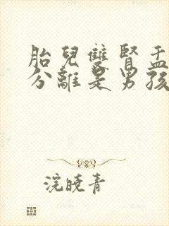 胎儿双肾盂未见分离是男孩还是女孩