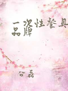 一次性餐具加盟品牌