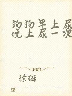 狗狗早上尿一次晚上尿一次