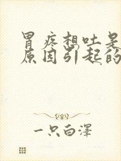 胃疼想吐是什么原因引起的