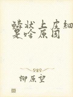 鳞状上皮细胞高是啥原因