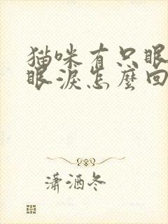 猫咪有只眼睛流眼泪怎么回事