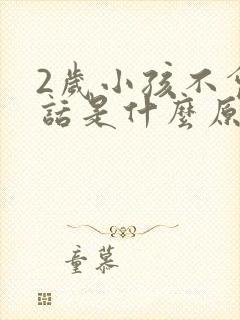 2岁小孩不会说话是什么原因