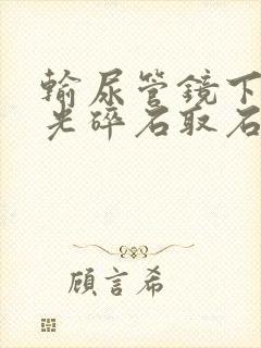 输尿管镜下钬激光碎石取石术