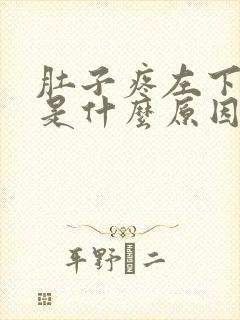 肚子疼左下角疼是什么原因女