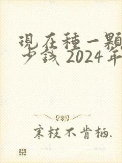 现在种一颗牙多少钱 2024年的