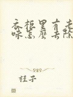 衣柜里有老鼠尿味怎么去除