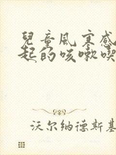 儿童风寒感冒引起的咳嗽吃什么药