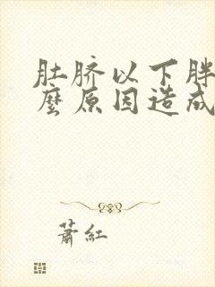 肚脐以下胖是什么原因造成的