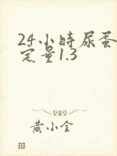 24小时尿蛋白定量1.3