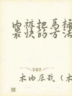 内裤把马桶堵了最快的方法怎么弄