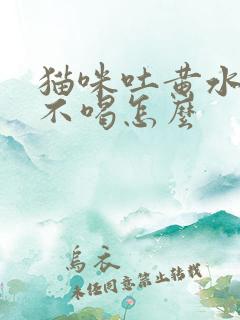 猫咪吐黄水不吃不喝怎么