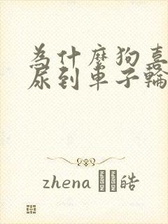 为什么狗喜欢拉尿到车子轮胎