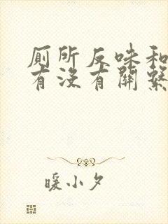 厕所反味和装修有没有关系