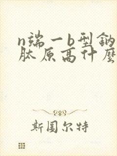 n端一b型钠尿肽原高什么原因