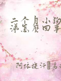 二个月小狗流鼻涕怎么回事