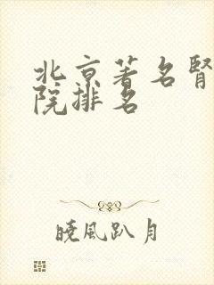 北京著名肾病医院排名