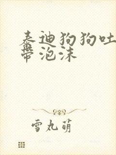 泰迪狗狗吐黄水带泡沫