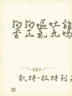 狗狗呕吐能吃藿香正气丸吗