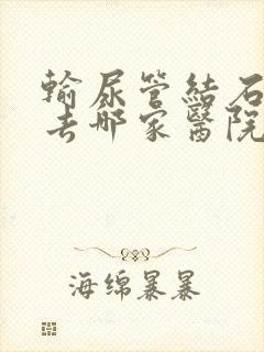 输尿管结石治疗去哪家医院