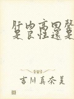 肝内高回声结节是良性还是恶性