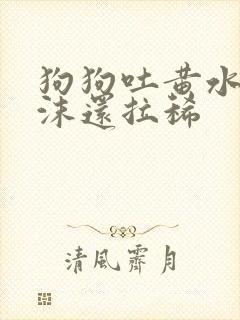 狗狗吐黄水带泡沫还拉稀