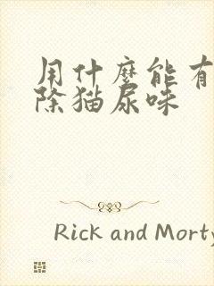 用什么能有效去除猫尿味