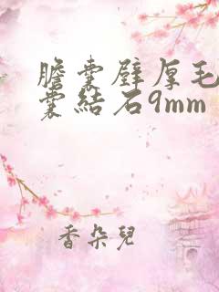 胆囊壁厚毛糙胆囊结石9mm