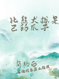 比熊犬总是舔自己的爪子