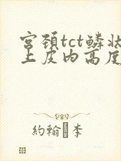 宫颈tct鳞状上皮内高度病变