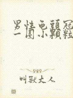 男性龟头冠状沟一圈小颗粒