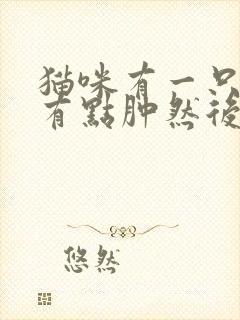 猫咪有一只眼睛有点肿然后流眼泪怎么回事