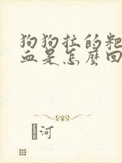 狗狗拉的粑粑带血是怎么回事