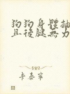 狗狗身体抽搐并且后腿无力