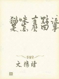 猫咪有点流口水是怎么回事