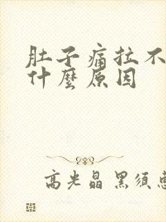 肚子痛拉不出尿什么原因