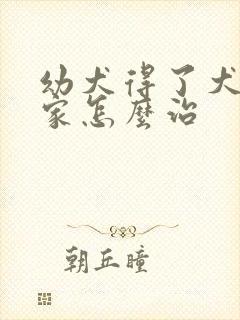 幼犬得了犬瘟在家怎么治