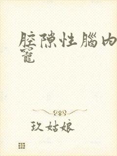 腔隙性脑内梗塞灶