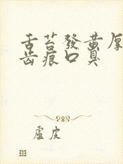 舌苔发黄厚腻有齿痕口臭