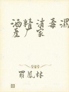 酒精消毒湿巾生产厂家