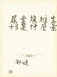 尿常规维生素c+3是什么意思