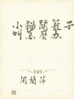 小猫关笼子一直叫怎么办