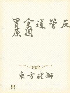 胃食道管反流的原因