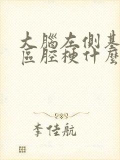 大脑左侧基底节区腔梗什么意思