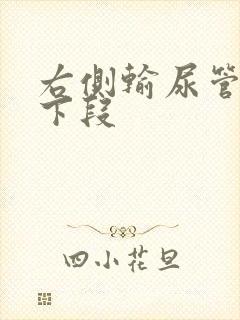 右侧输尿管结石下段