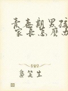 青春期男孩叛逆 家长怎么办