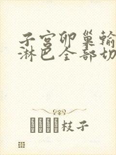 子宫卵巢输卵管淋巴全部切除对人体的影响