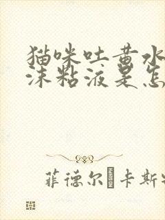 猫咪吐黄水有泡沫粘液是怎么了