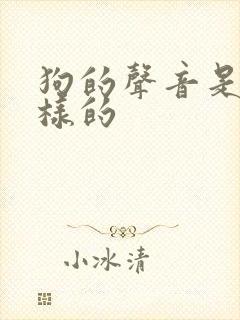 狗的声音是什么样的